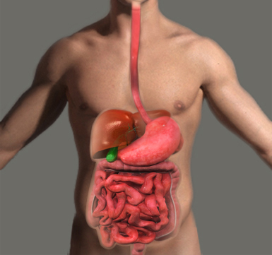 Gastro-Intestinal Surgery