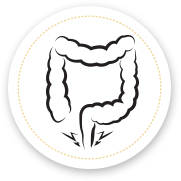 Haemorrhoids/Perianal
                      Disease